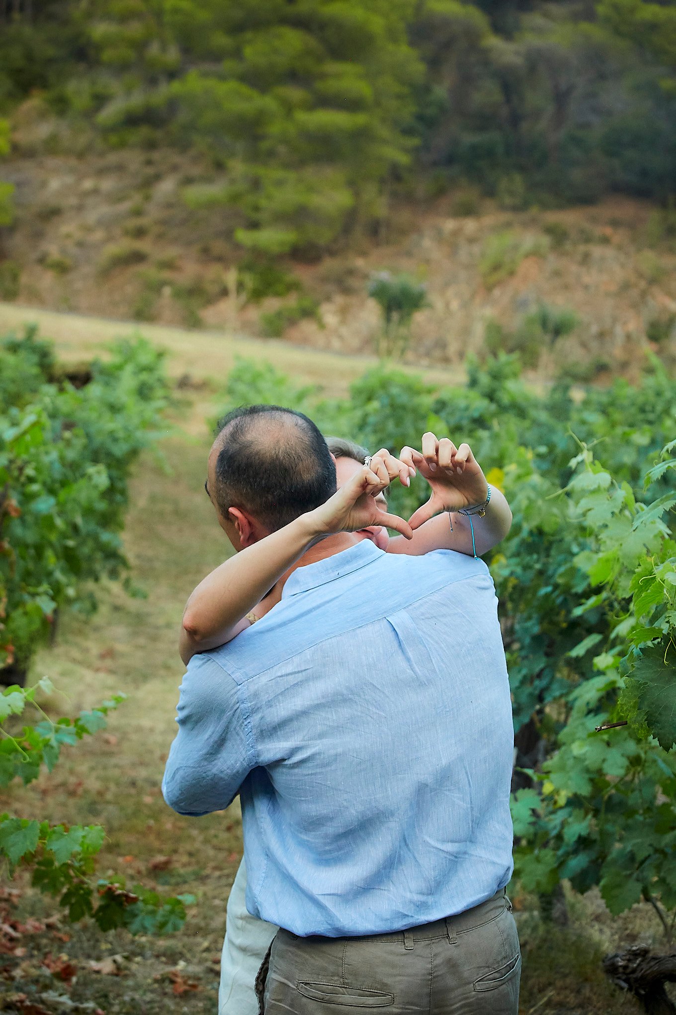 Proposal in a greek vineyard