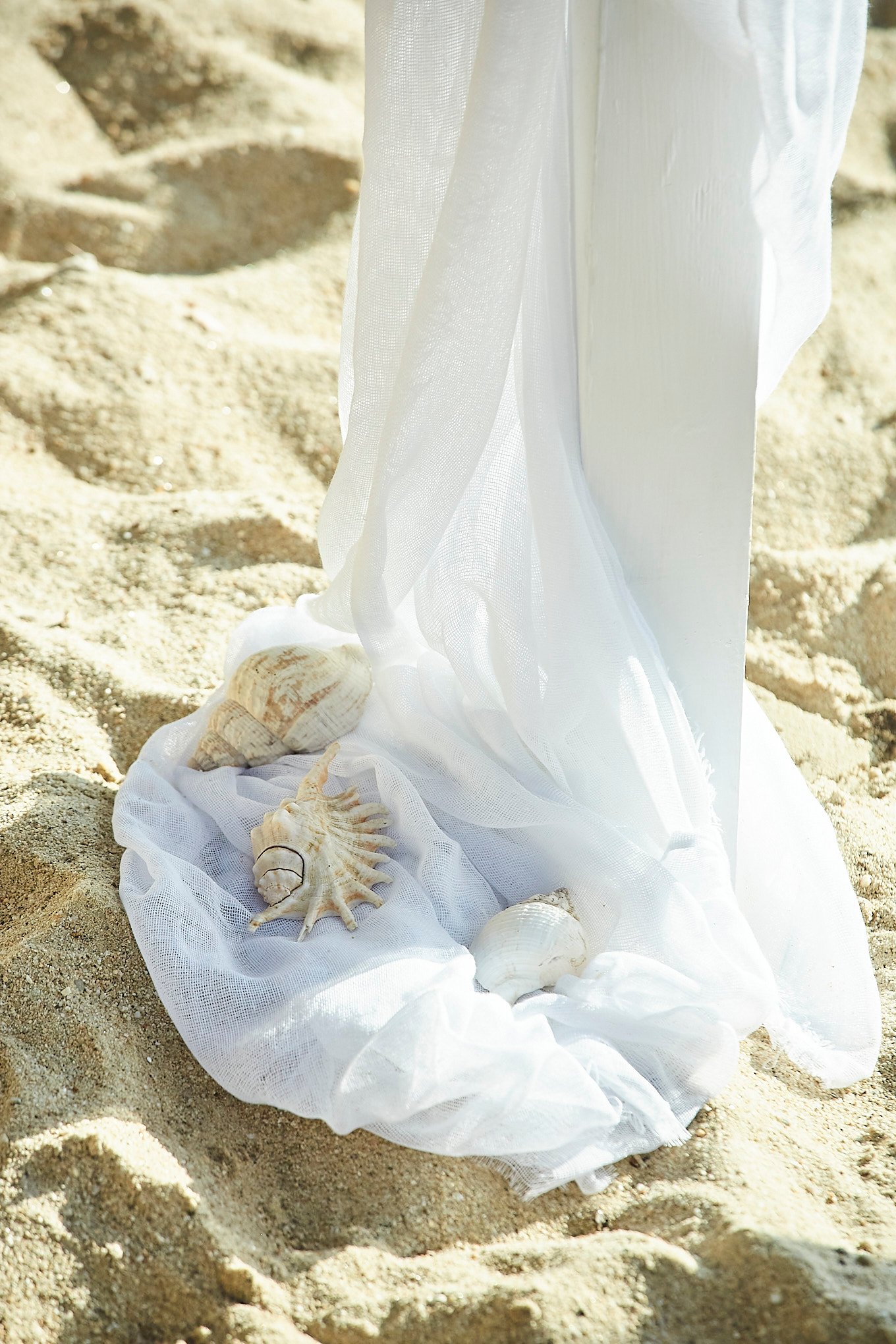 Wild Beach and seashell wedding theme