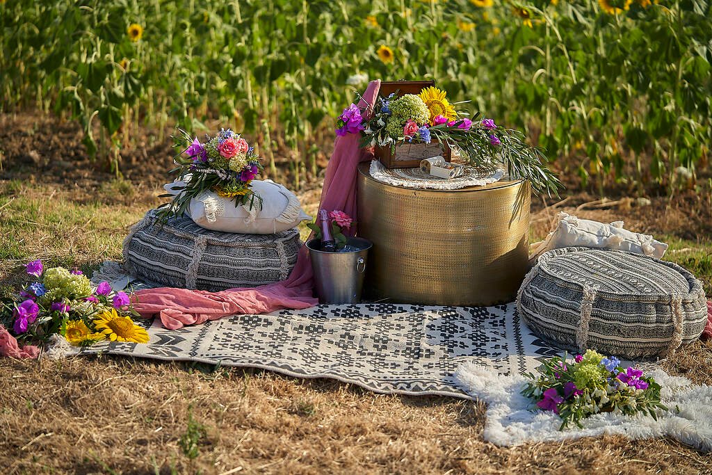 picnic proposal