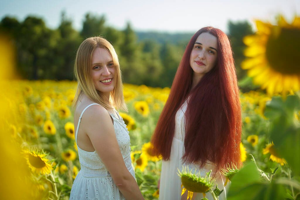 Sunflower field proposal