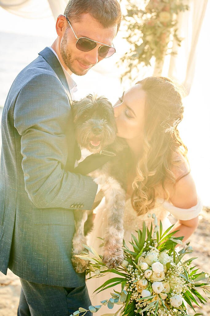 destination wedding with a dog