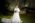 Bride holding her bouquet in the garden, olive tree in the background