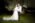 groom and bride looking at each other in the garden on the grass, olive tree on background