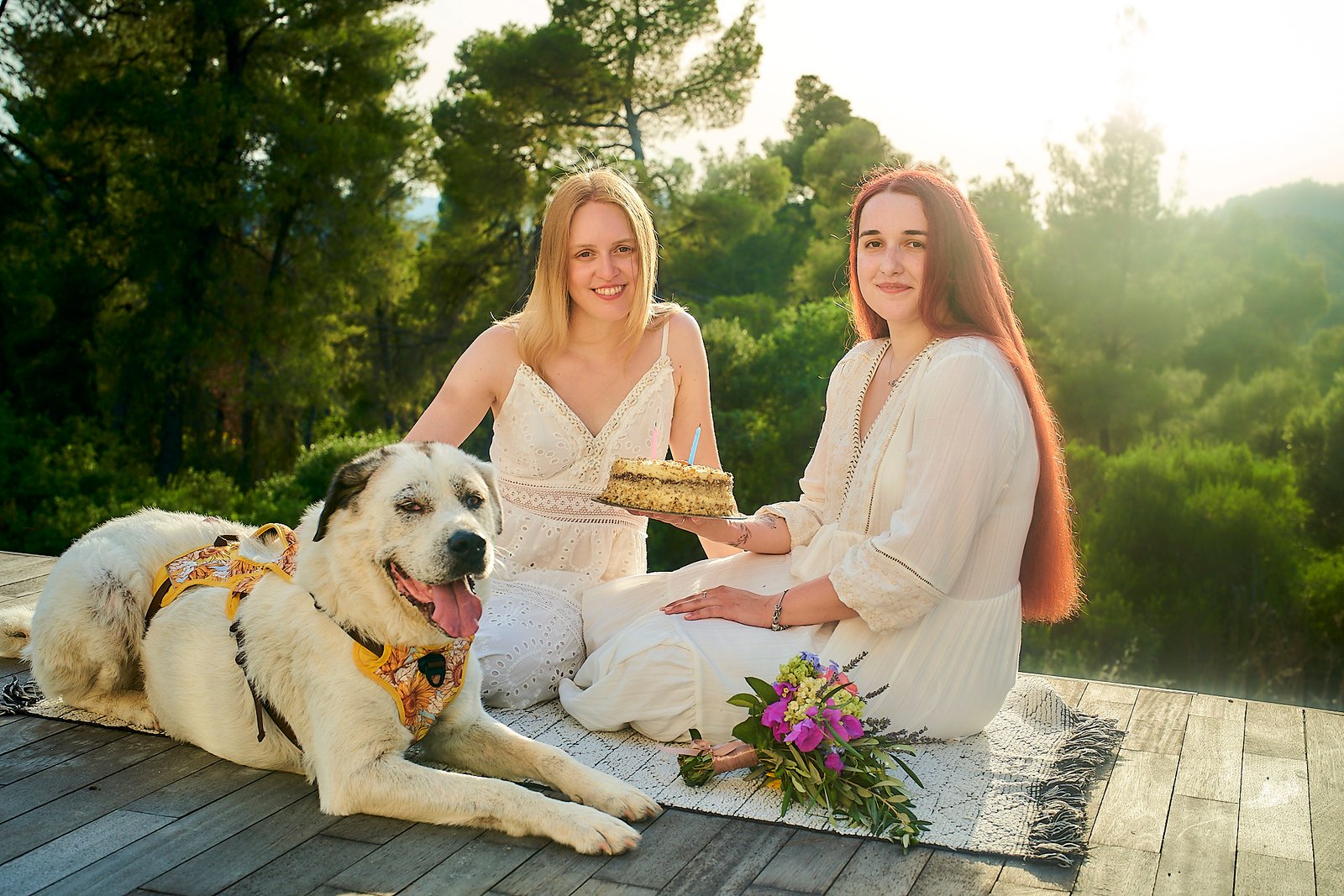 Romantic Same-Sex Proposal in Greece