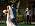 A Wedding Day in Rhodes Full of Unscripted Moments